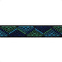 25mm Wide Blue and Green Zig Zag Textile Elastic