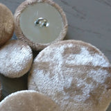 Champagne Velvet Buttons 