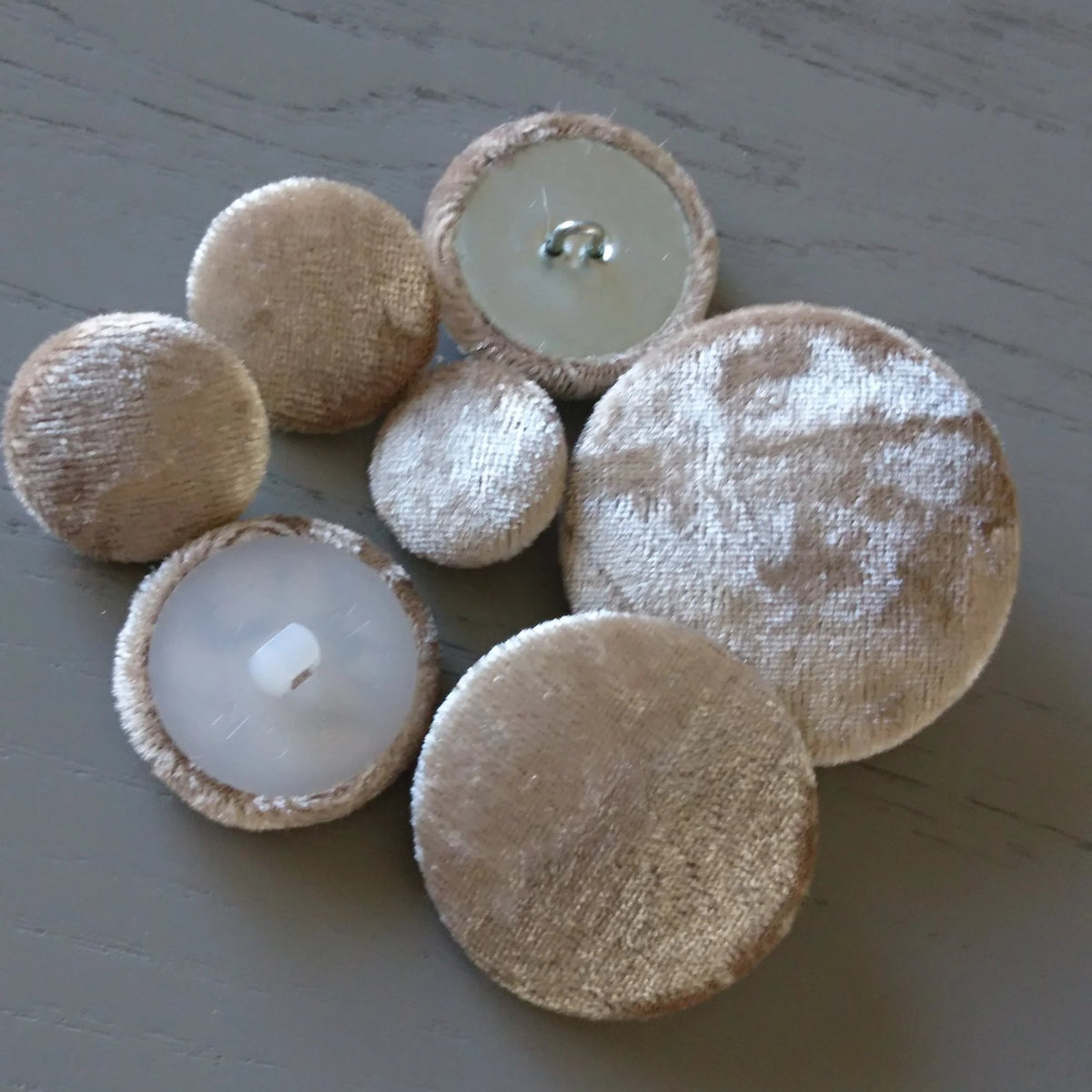 Champagne Velvet Buttons | The Crafty Animal UK