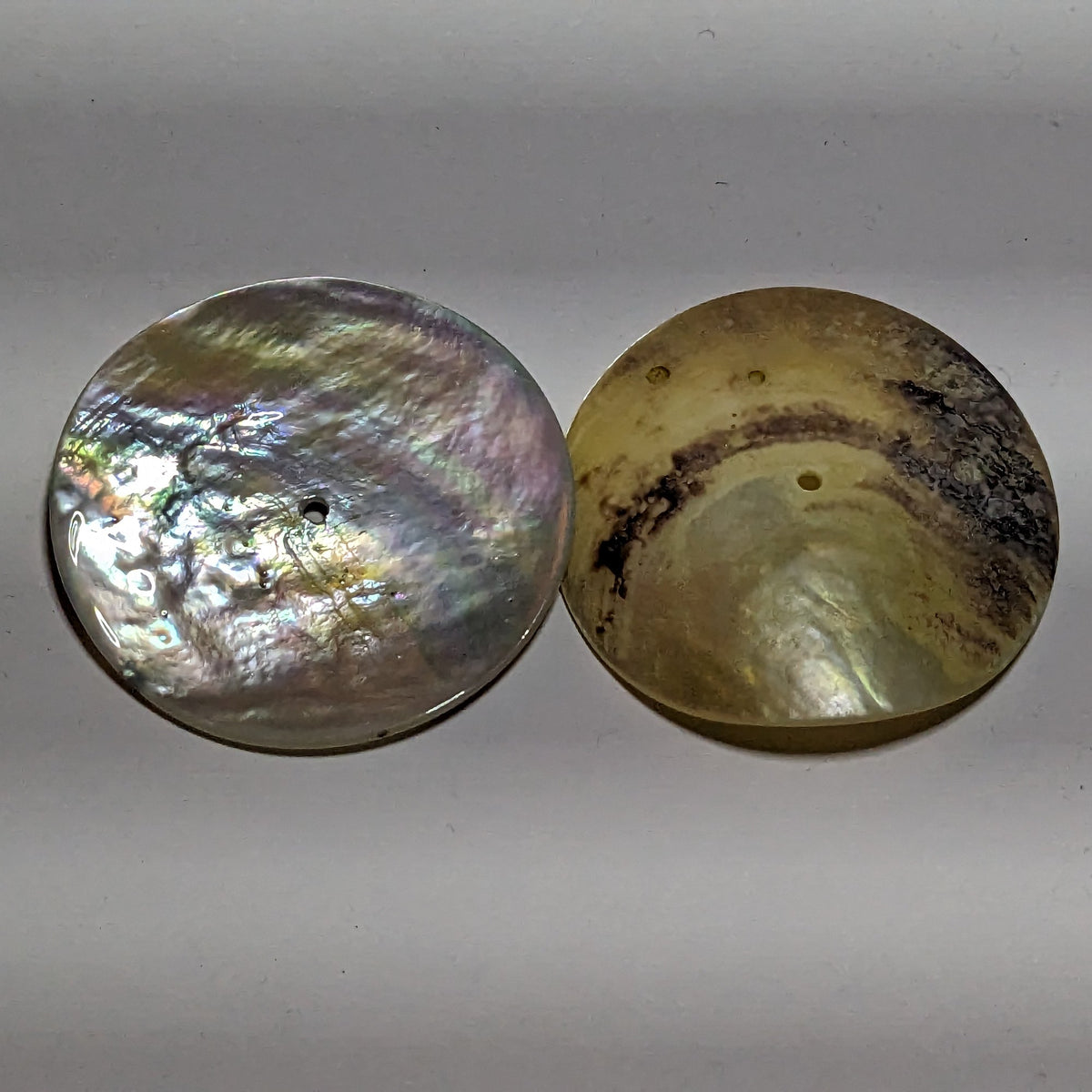 36mm Single Hole Natural Mother of Pearl Buttons | The Crafty Animal UK